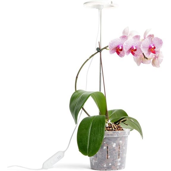 orchid white grow light